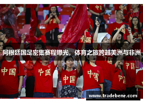 阿根廷国足密集赛程曝光，体育之旅跨越美洲与非洲