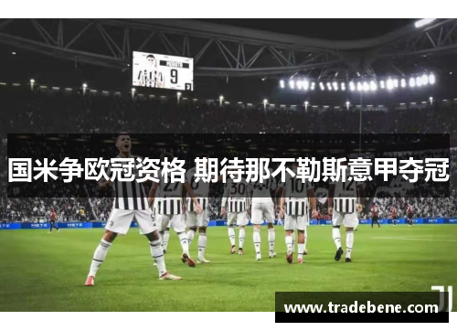 国米争欧冠资格 期待那不勒斯意甲夺冠